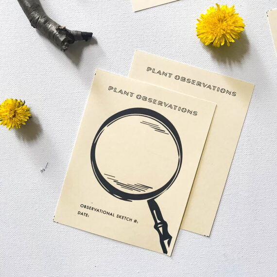 Outdoor Explorer Journal Printable Kit