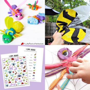 50 Fun Insect Learning and Play Activities for Kids