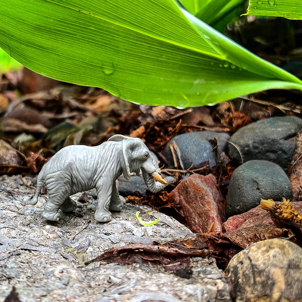 A Mini Backyard Safari play setup