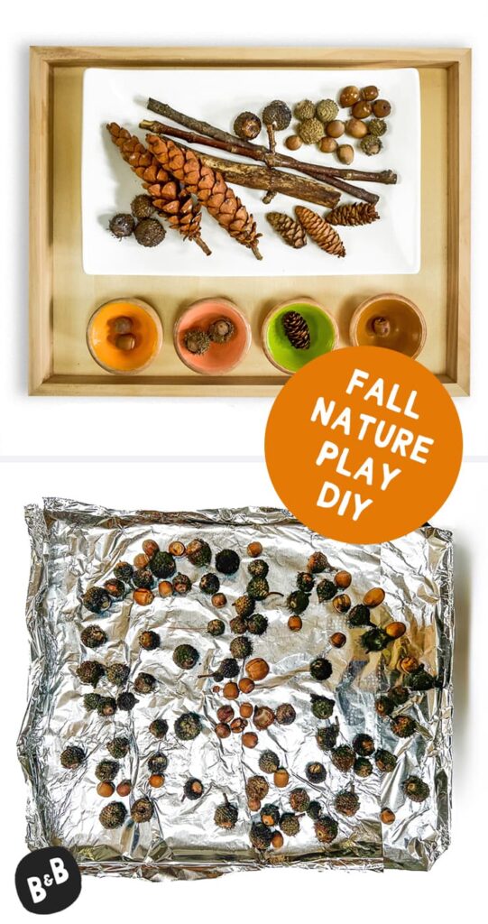 How to Preserve Fall Nature Supplies for Kids’ Play - barley & birch