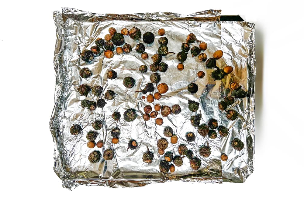 how to preserve acorns and pinecones for kids nature play step three