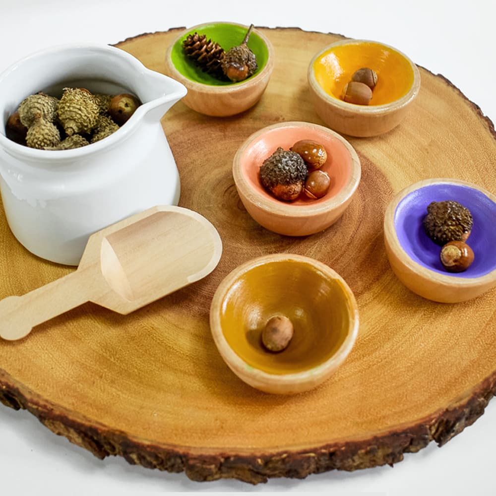 A collection of cleaned and preserved acorns sitting in colorful bowls on a large wood slice in front of a white background