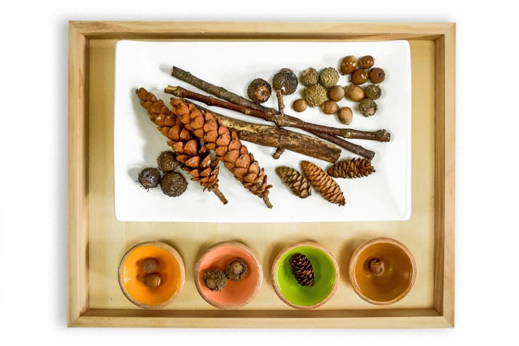 A collection of cleaned and preserved acorns pinecones and sticks sitting on a white plate and sorted into colorful bowls on tray