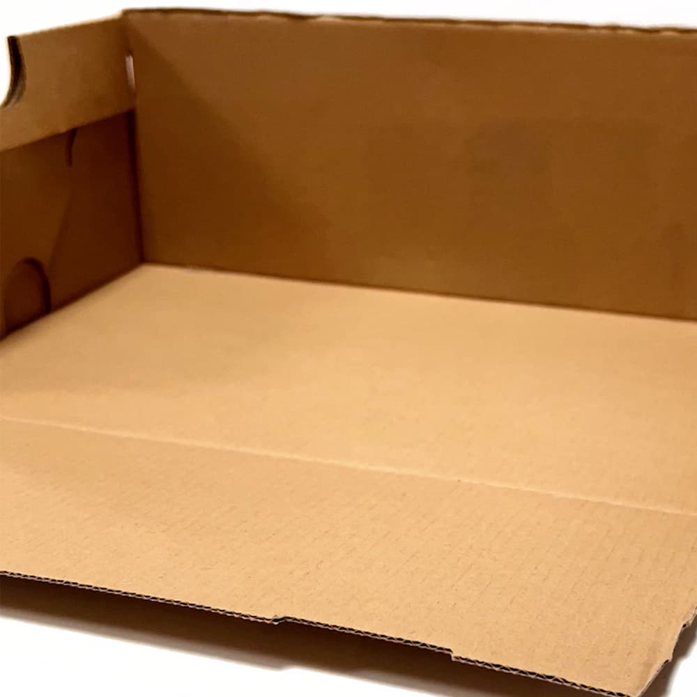 How to make a play DIY hibernaculum kids hibernation learning activity from a shoebox