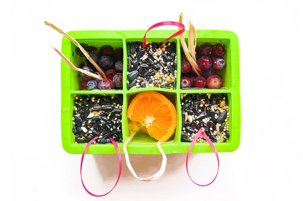 How to make frozen birdseed feeders step two