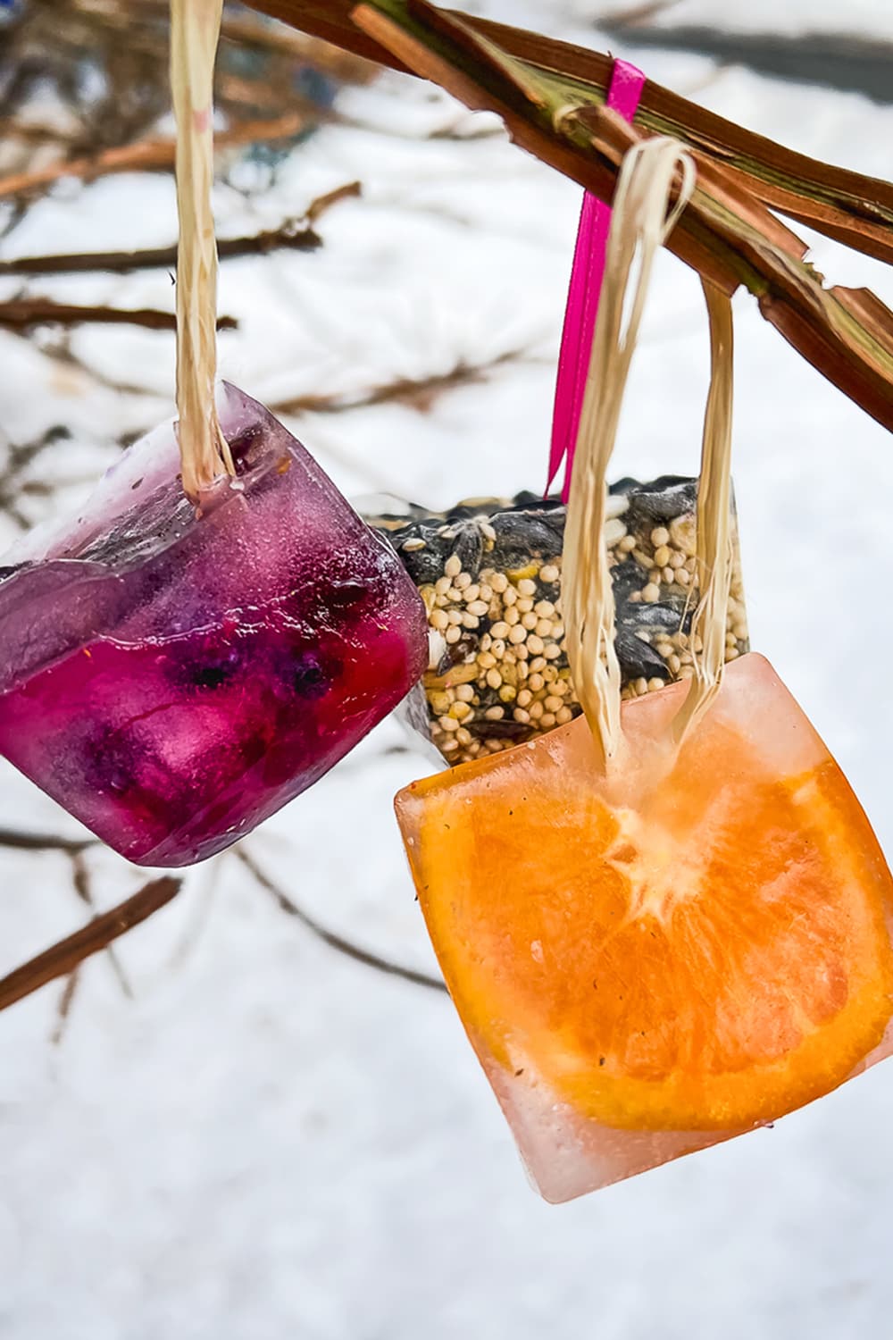 Three of our DIY frozen bird feeder ornaments hanging from tree branches