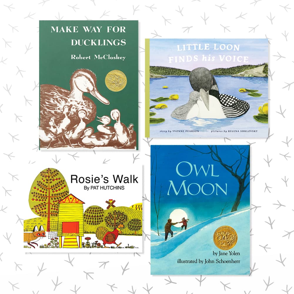 Four kids books about birds sitting on a white and black patterned background