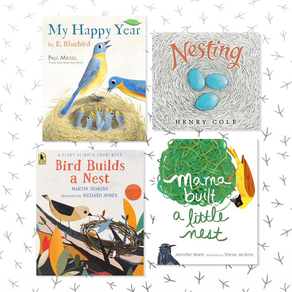Four childrens books about bird nests sitting on a white patterned background