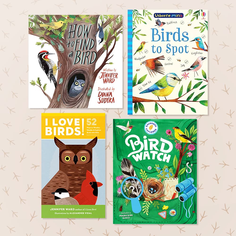 Four childrens books about birdwatching sitting on a neutral patterned background