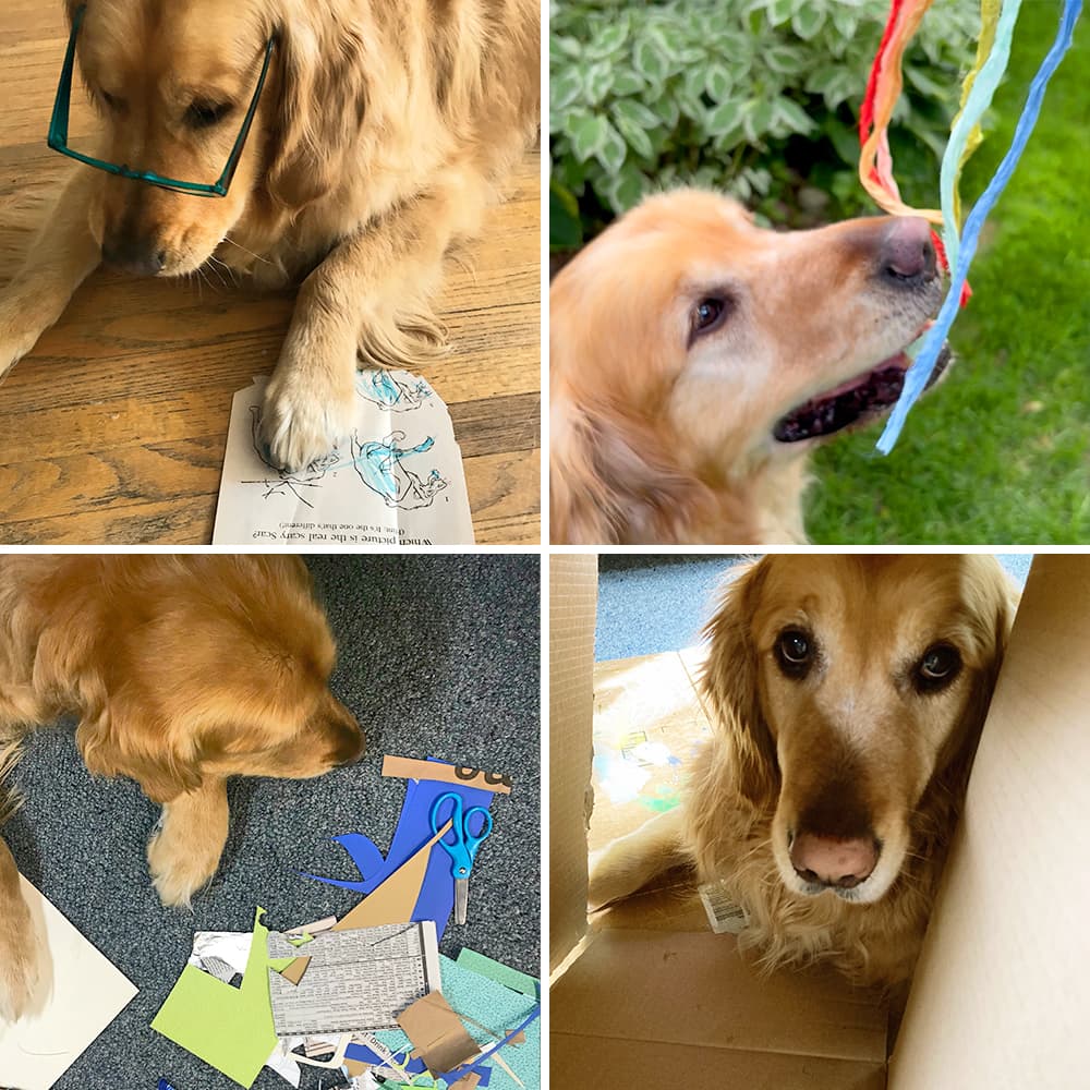 15 Creative Activities to Help Kids Cope With the Loss of a Pet