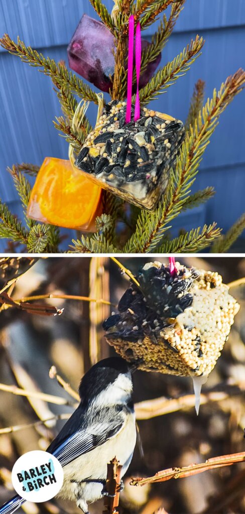 Photos of our easy DIY Christmas birdfeeder ornaments craft for kids