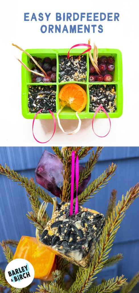 Photos showing how to make our easy frozen suncatcher bird feeder activity for kids